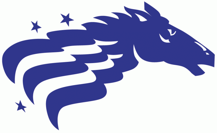 Baltimore Stallions DTF transfer